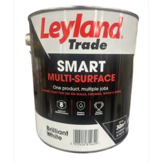 2.5LT LEYLAND BRILL WHITE MULTI SURFACE PAINT