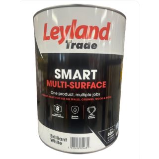 5LT LEYLAND BRILL WHITE MULTI SURFACE PAINT
